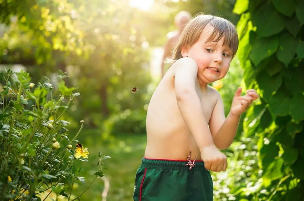 5 Tips to Get Over Your Fear of Bugs This Summer