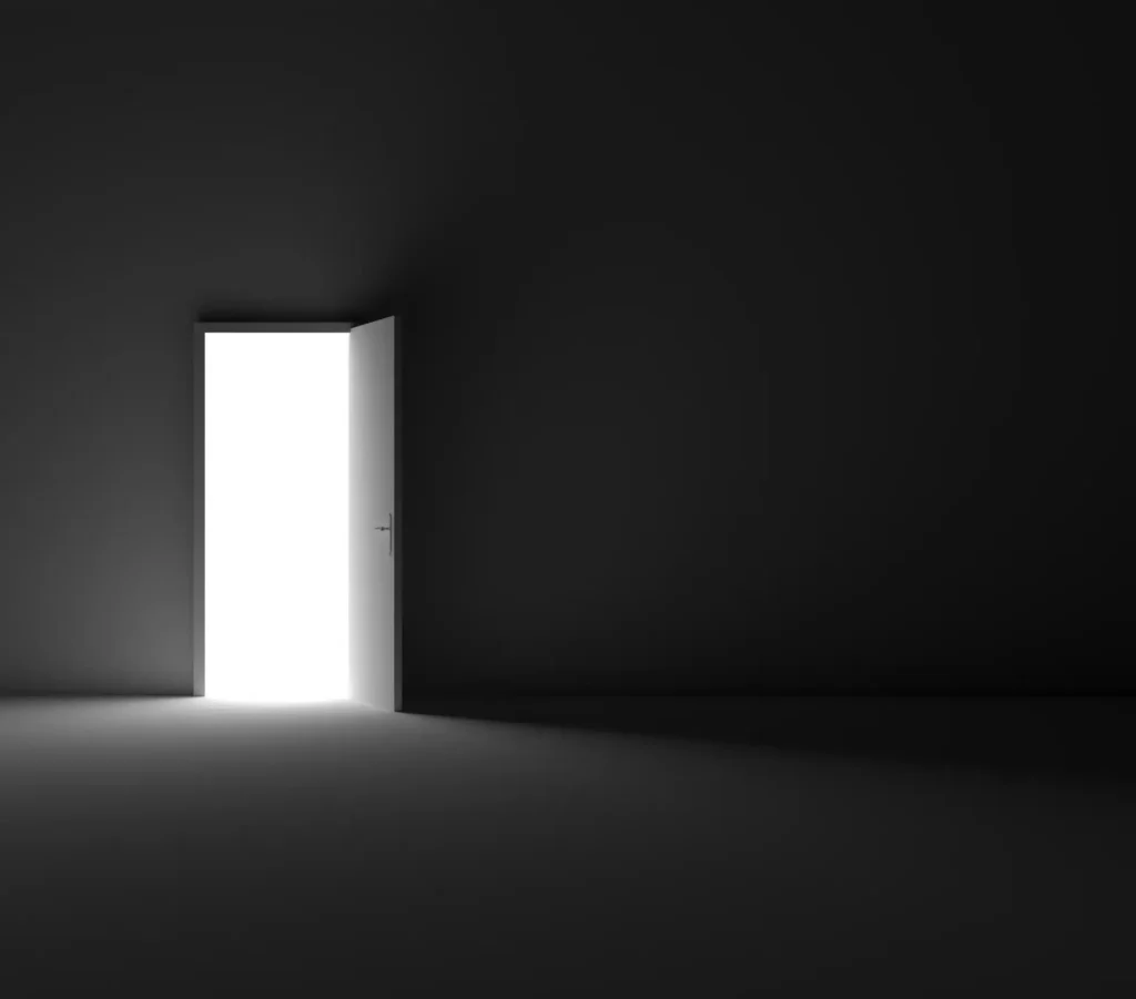 Can’t Even Look at a Spider? That Fear Has a Name – and a Way Out!