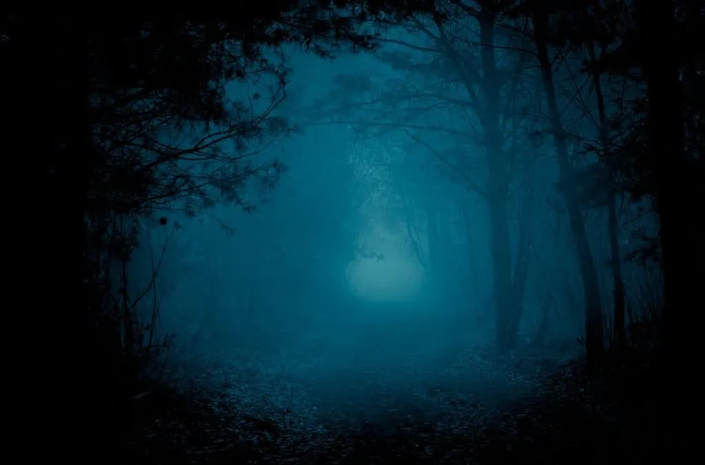 Nyctophobia: Scared of Things That Go Bump in the Night?