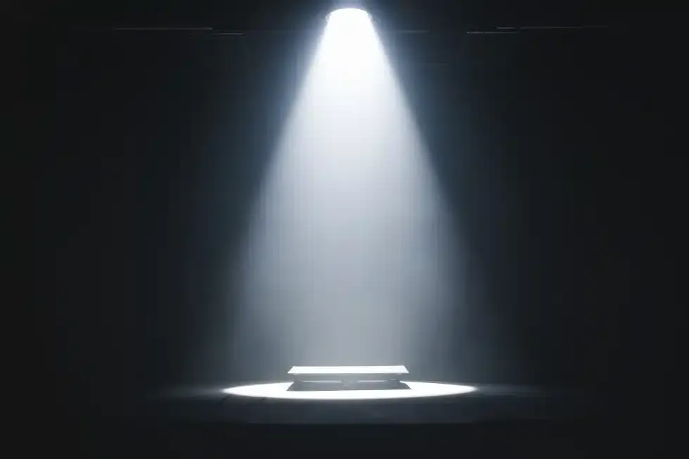 Public Speaking in the Spotlight: How to Overcome Fear and Build Confidence