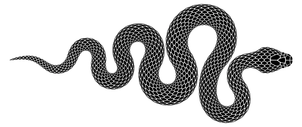 Snake Warnings in the UK: Why They’re Making You Panic (And How To Stay Calm)