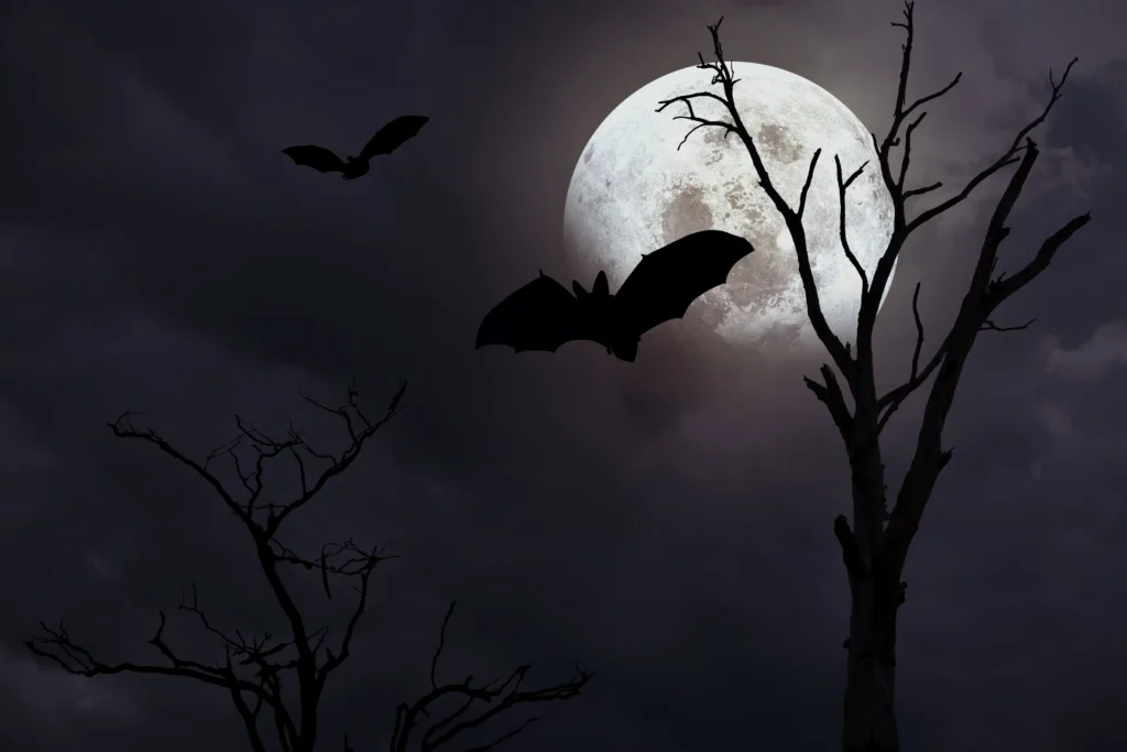 Why We Love to Be Scared: The Psychology of Halloween Fears